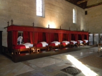 France 2010: Burgundy, The Massif Cetral, The Rhone Valley
