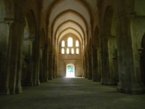 France 2010: Burgundy, The Massif Cetral, The Rhone Valley