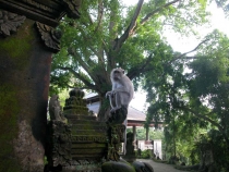 Зарисовки и советы по Индонезии - отчет о поездке - весна-лето 2012