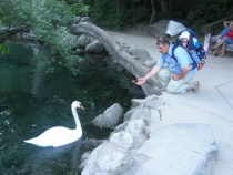 Не пляжный Крым с ребенком (05.05-15.05.2012) Севастополь-Симеиз-Алушта