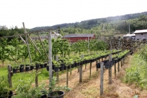 Норвегия в конце мая на 6 дней в доме на колёсах. Реален ли маршрут?