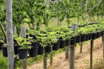 Норвегия в конце мая на 6 дней в доме на колёсах. Реален ли маршрут?