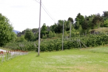 Норвегия в конце мая на 6 дней в доме на колёсах. Реален ли маршрут?