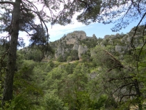 France 2010: Burgundy, The Massif Cetral, The Rhone Valley