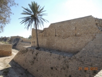 Израиль, 5-й день