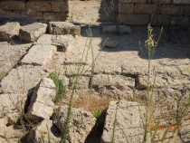 Израиль, 5-й день