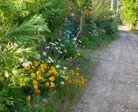 Треугольник по Турции за 14 дней, май 2012г.