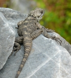 Треугольник по Турции за 14 дней, май 2012г.