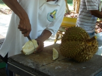 НГ 2011, из Паттайи с экскурсией в Камбоджу