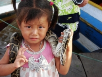 НГ 2011, из Паттайи с экскурсией в Камбоджу