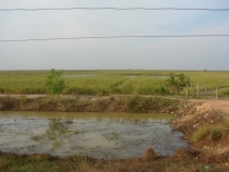 НГ 2011, из Паттайи с экскурсией в Камбоджу