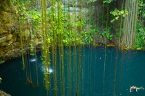 Отдых в Мексике на Ривьере Майя