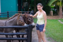 Отдых в Мексике на Ривьере Майя