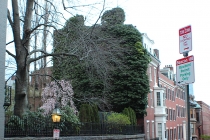 Boston