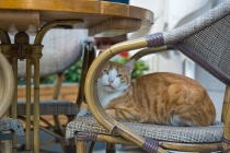 Душевный Стамбул. август'12 (фото, немного текста)