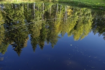 Взгляд сквозь лужу: отражения мира в фотографиях