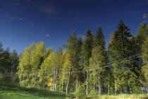 Взгляд сквозь лужу: отражения мира в фотографиях