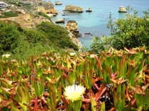 7 дней осуществленной мечты (в 2 частях)