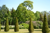 Финляндия - Швеция-Германия июнь 2012