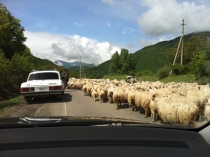 День Победы в Грузии (неделя в мае 2012 г.). Тбилиси, ВГД, Казбеги, Кахетия, Батуми. День Победы в Грузии (неделя в мае 2012 г.). Тбилиси, ВГД, Казбеги, Кахетия, Батуми.