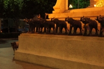 Бангкок. "Слоны идут на север!"