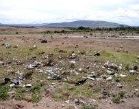 Кения: Найроби - 2 дня сафари в парке Масаи Мара. Малярия, мухи цеце и чёрная мамба