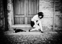 Поговорим о Кошках 15