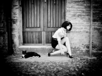 Поговорим о Кошках 15