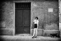 Поговорим о Кошках 15