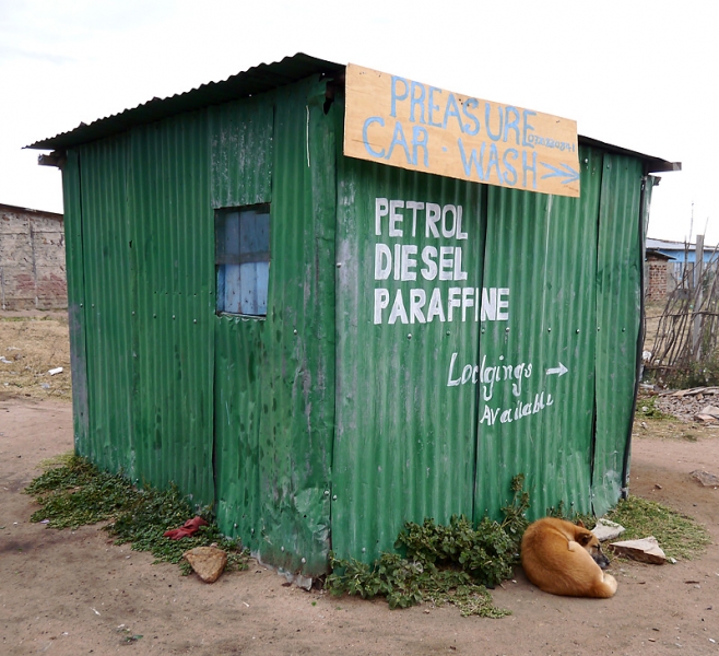 Сафари Масаи Мара