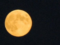 Поездка за радугой