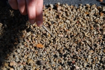 Поездка за радугой