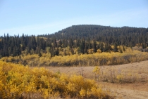 Поездка за радугой