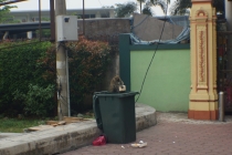 Медовый сентябрь: Гонконг-Макао-Куала-Лумпур-Вьетнам-Пекин