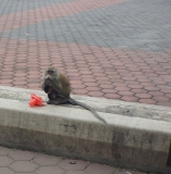 Медовый сентябрь: Гонконг-Макао-Куала-Лумпур-Вьетнам-Пекин