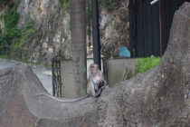 Медовый сентябрь: Гонконг-Макао-Куала-Лумпур-Вьетнам-Пекин