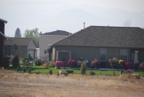 Поездка за радугой