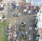 Дананг (Хойян) и окрестности на мопеде, май 2012 года, фото