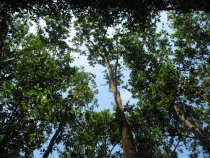 Дананг (Хойян) и окрестности на мопеде, май 2012 года, фото