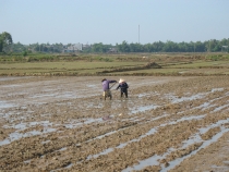 Дананг (Хойян) и окрестности на мопеде, май 2012 года, фото
