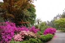 День Победы в Грузии (неделя в мае 2012 г.). Тбилиси, ВГД, Казбеги, Кахетия, Батуми. День Победы в Грузии (неделя в мае 2012 г.). Тбилиси, ВГД, Казбеги, Кахетия, Батуми.