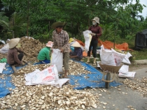 Дананг (Хойян) и окрестности на мопеде, май 2012 года, фото