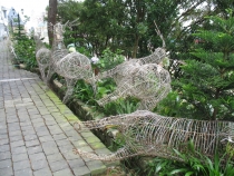 Дананг (Хойян) и окрестности на мопеде, май 2012 года, фото