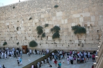 2 недели на Святой Земле или как посмотреть Израиль при +40 и получить кучу впечатлений