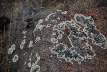Поездка за радугой