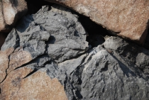 Поездка за радугой