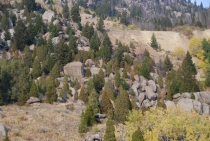 Поездка за радугой