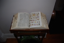 Поездка за радугой