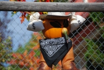 Поездка за радугой