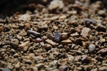 Поездка за радугой